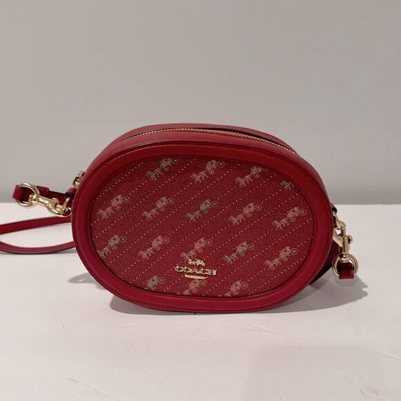 Coach Camera Bag with Horse and Carriage Dot Travel Date Night Girls Night Out - Picture 1 of 8